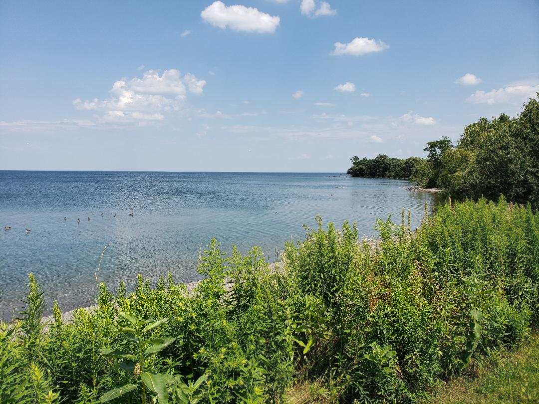 View of Lake Ontario from Confederation Park in Hamilton