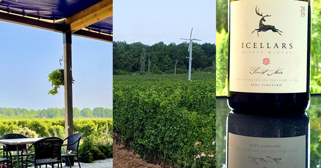 Icellars Estate Winery