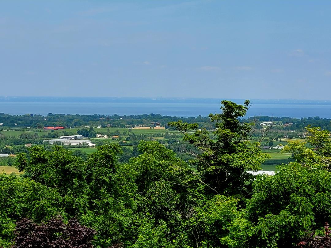 Megalomaniac Wines Narcissist Riesling 2021