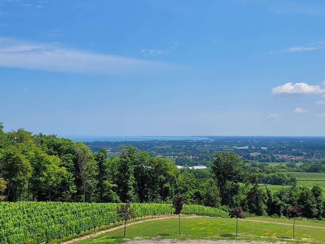 Niagara county from above