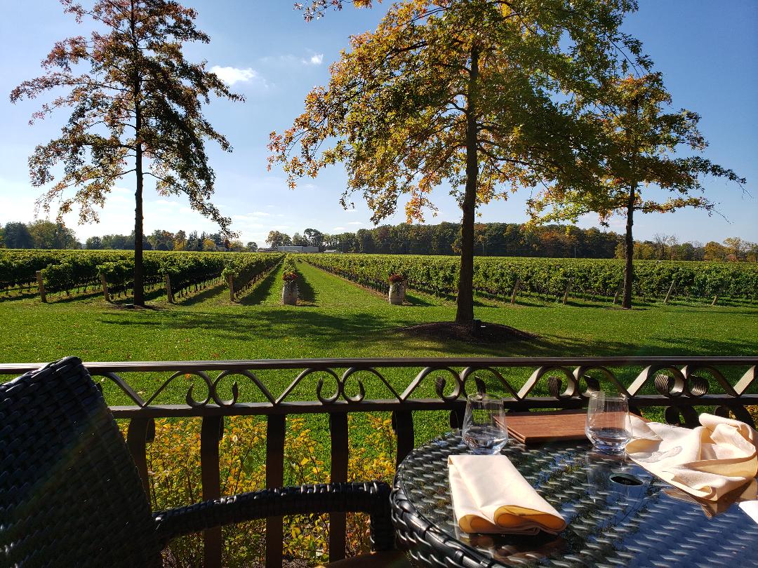 Two Sisters Estate Winery restaurant overlooking vineyard